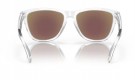 Oakley Frogskins – Crystal Clear / Prizm Sapphire thumbnail